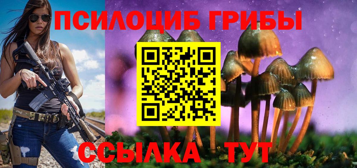 Галлюциногенные грибы Psilocybe  Вход с VPN  Галлюциногенные грибы прущие грибы  Советск 