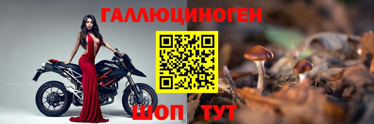 Псилоцибиновые грибы ЛСД Советск